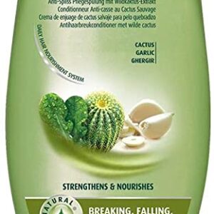 VATIKA WILD CACTUS ANTI BREAKAGE CONDITIONER